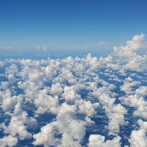 Meet your Posher, Caitlyn